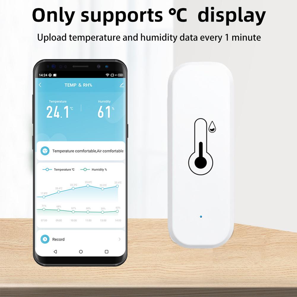 Zigbee/WIFI Smart Temperature  - đánh giá và giá Smart Home Voice Assistant