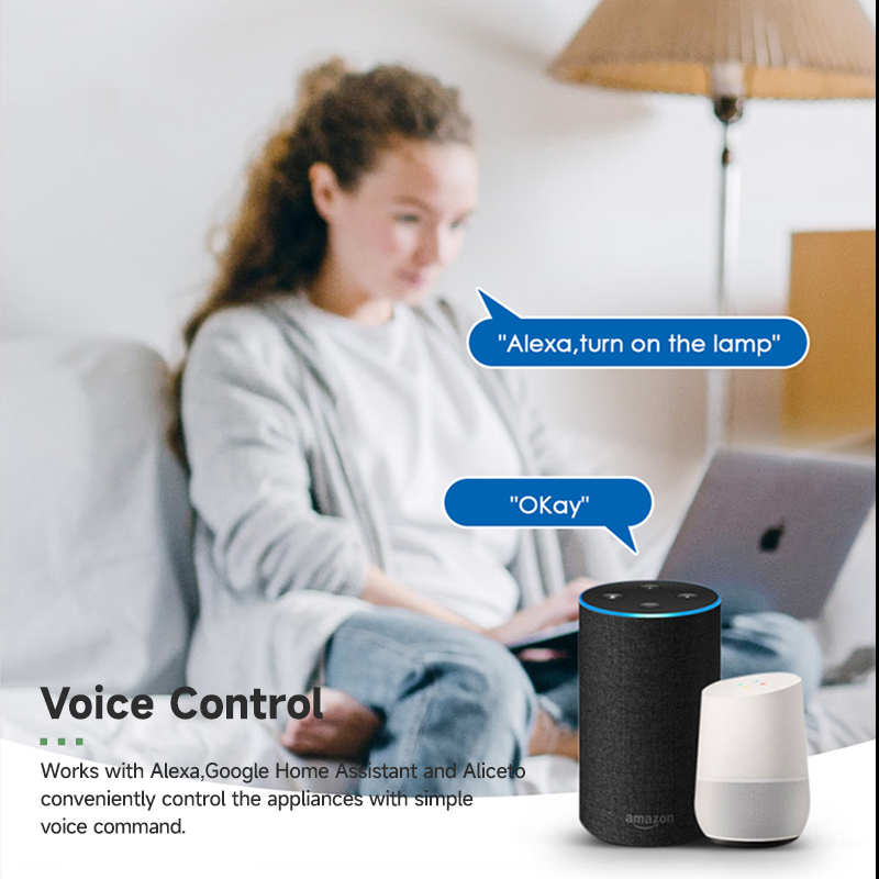 Tuya Smart WiFi Switch Module  - đánh giá và giá Smart Home Automation System