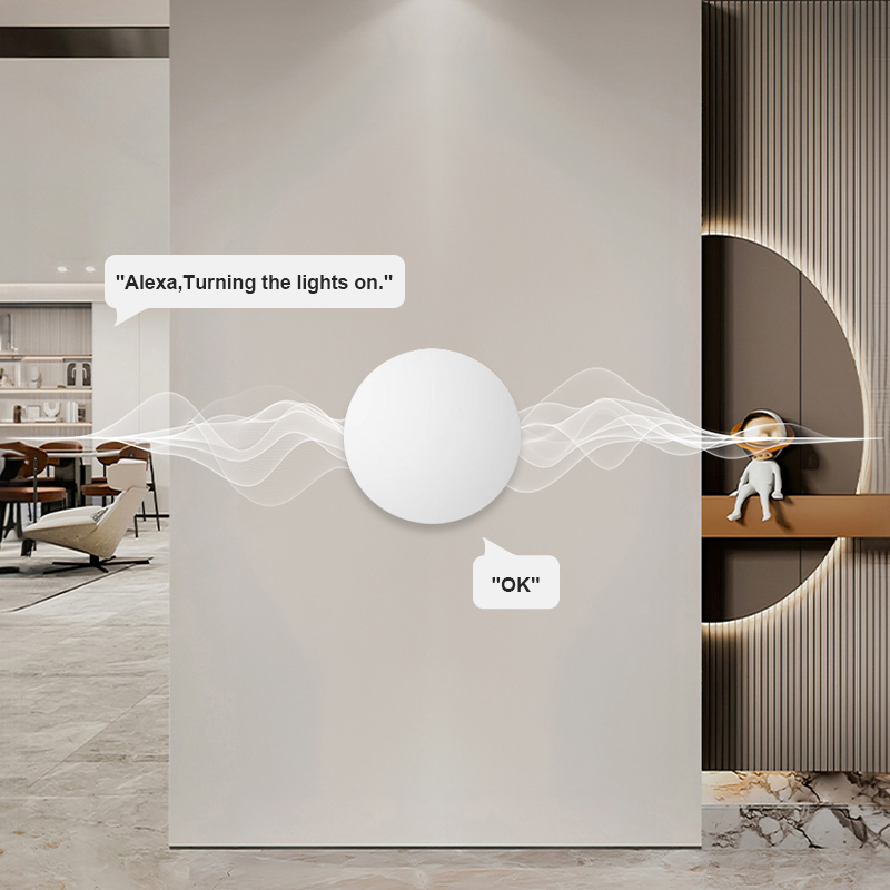 Smart Wireless Button Scene Sw - đánh giá và giá Smart Home Voice Assistant