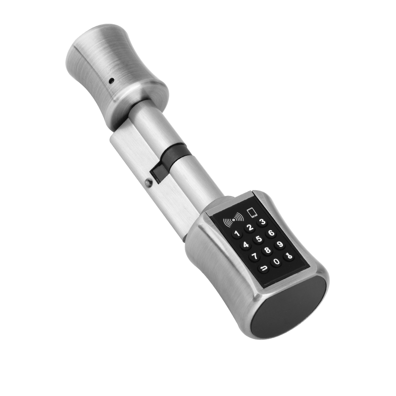 Bluetooth Cylinder Lock TT Loc - đánh giá và giá Airbnb Smart Home