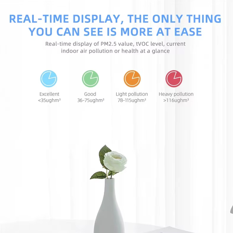Tuya ZigBee/WiFi Air Quality D - đánh giá và giá Smart Home Box