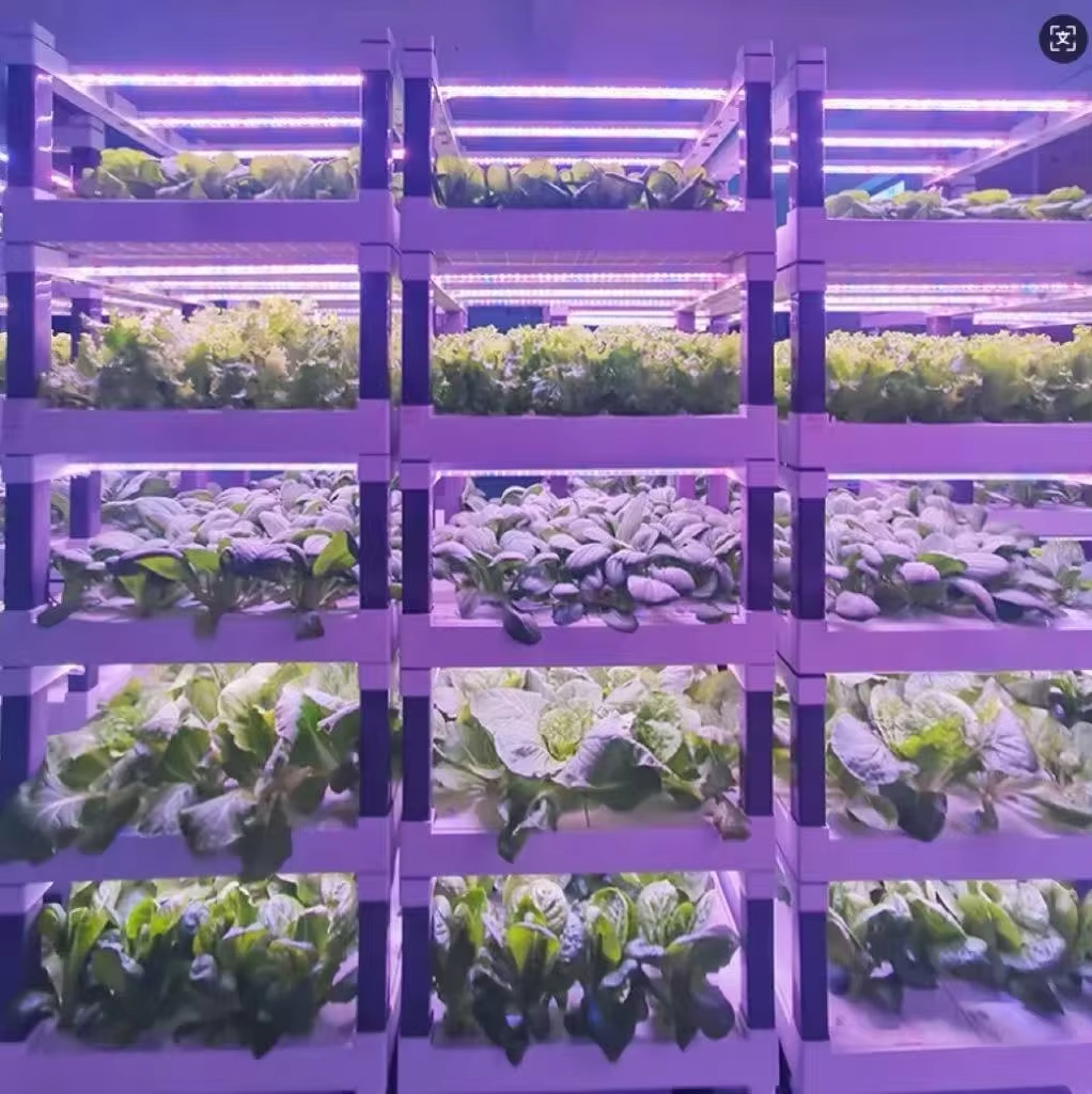 Hydroponic Grow System Greenho - đánh giá và giá Smart Home Device